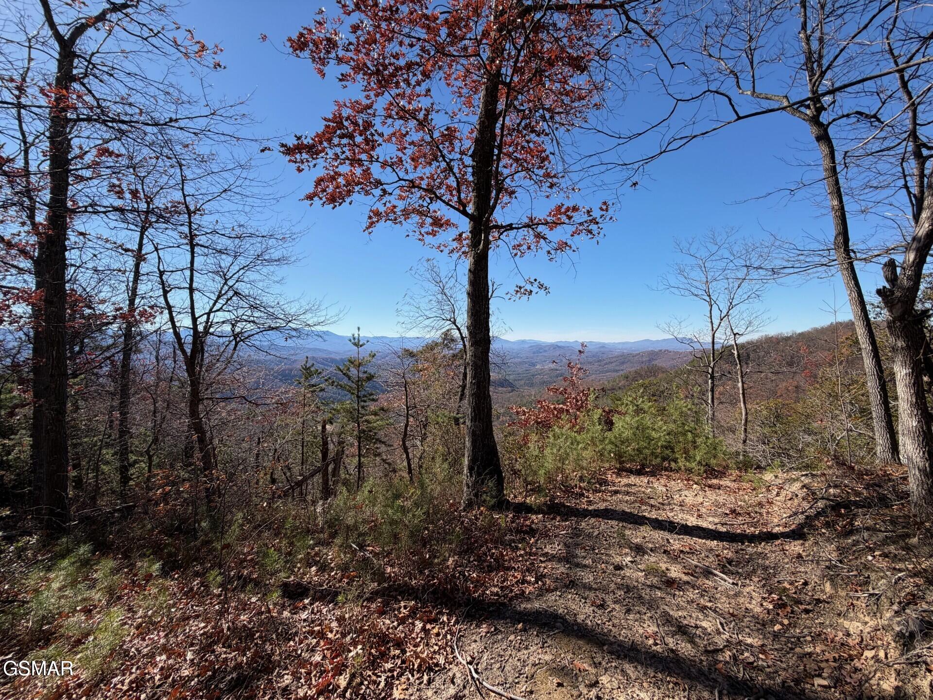 Sevierville, Tennessee, 37876, United States, ,Land,For Sale,2008093