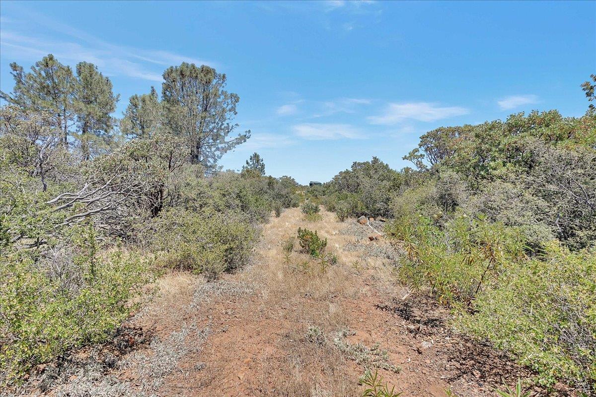 Oregon House, California, 95962, United States, ,Land,For Sale,1975767