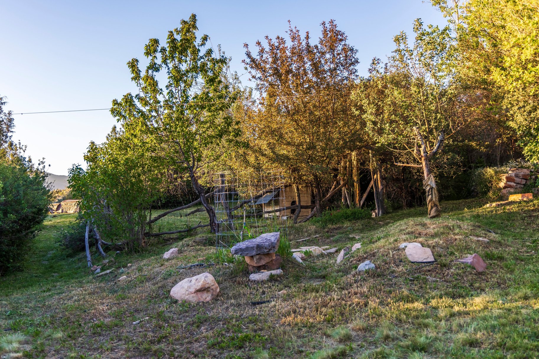  Coming soon Handcrafted Mountain Property on 5 Acres with Views - 物件實景