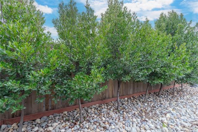 Chico, California, 95973, United States, 3 Bedrooms Bedrooms, ,2 BathroomsBathrooms,Residential,For Sale,2005444