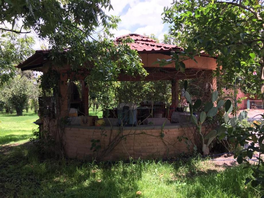 León, Guanajuato, 37683, Mexico, 1 Bedroom Bedrooms, ,Residential,For Sale,1917965