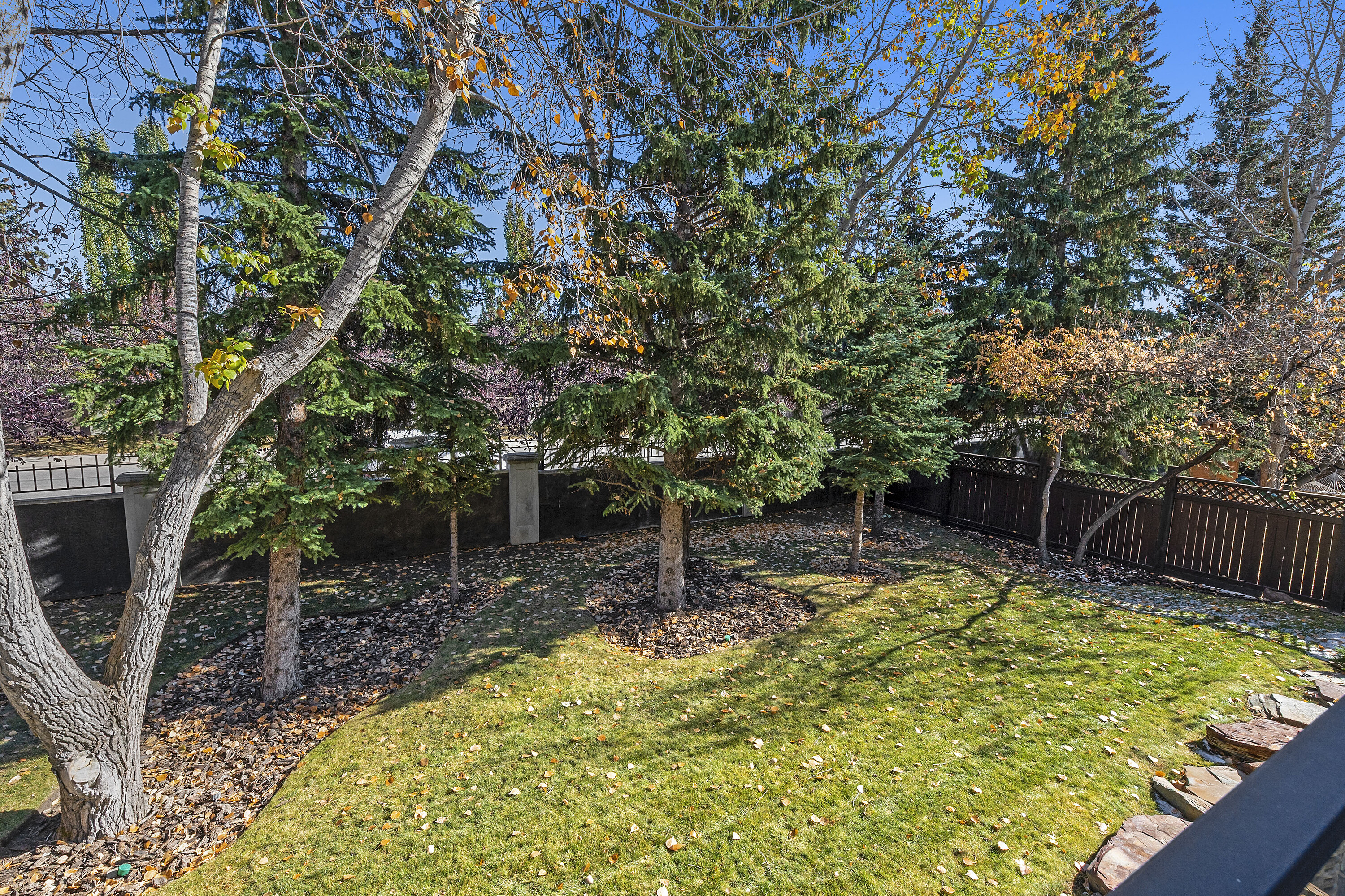  Calgary, Calgary and Foothills - 物件實景