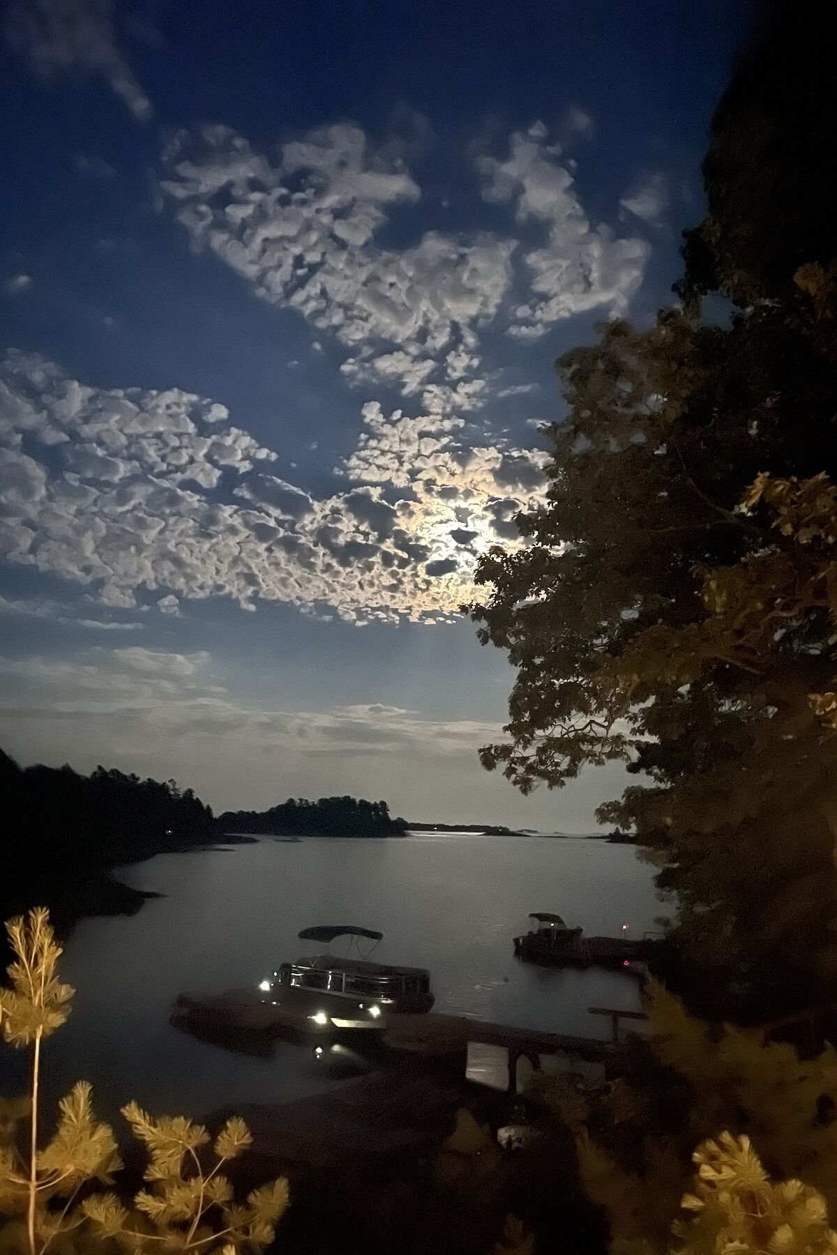  Hunter Island on Georgian Bay - 物件實景