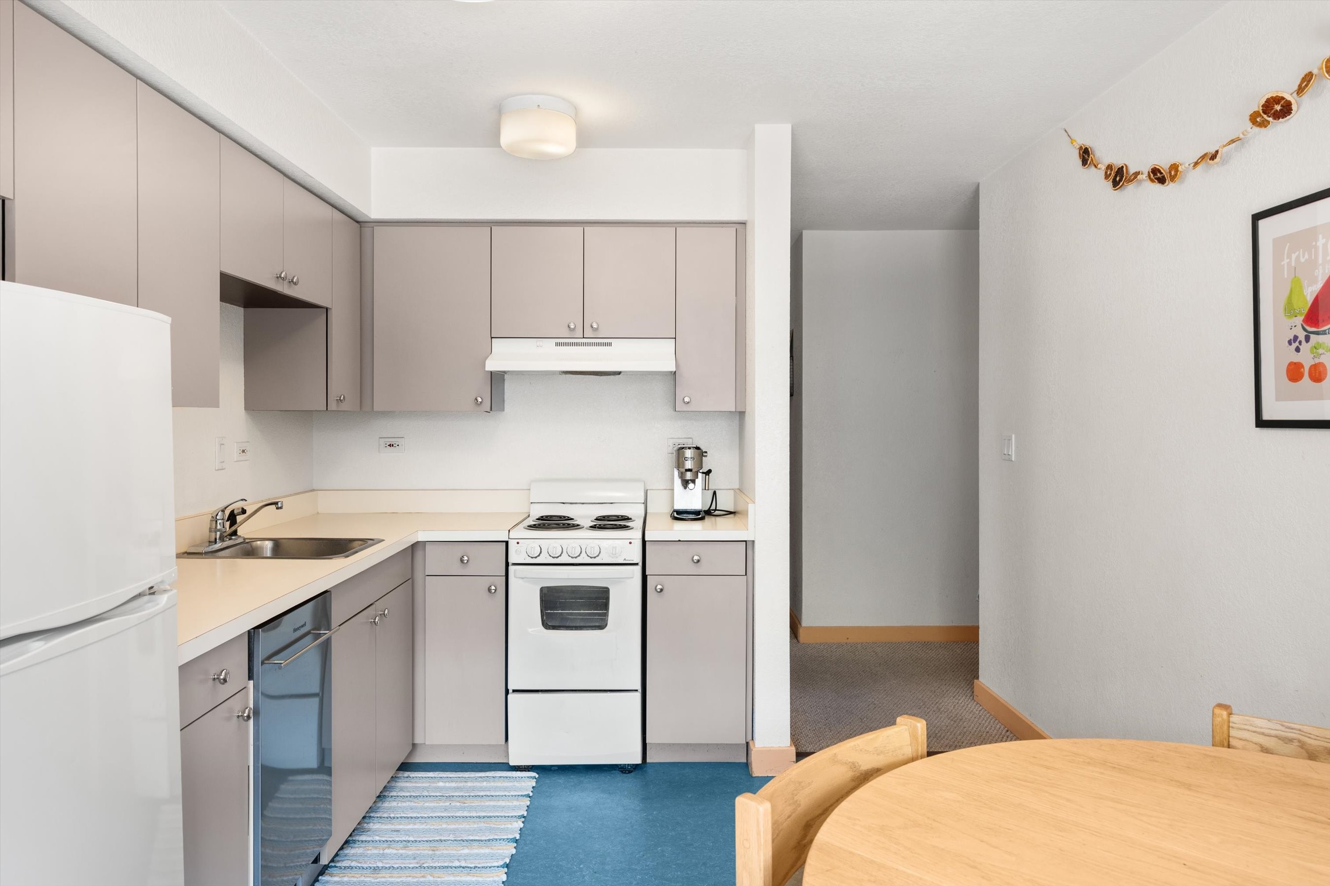  115 Boomerang Road, Aspen, CO, 81611 - 物件實景