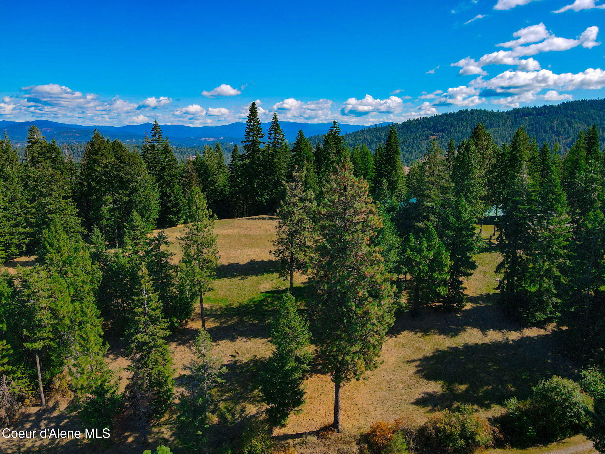 Harrison, Idaho, 83833, United States, ,1 BathroomBathrooms,Residential,For Sale,1765593