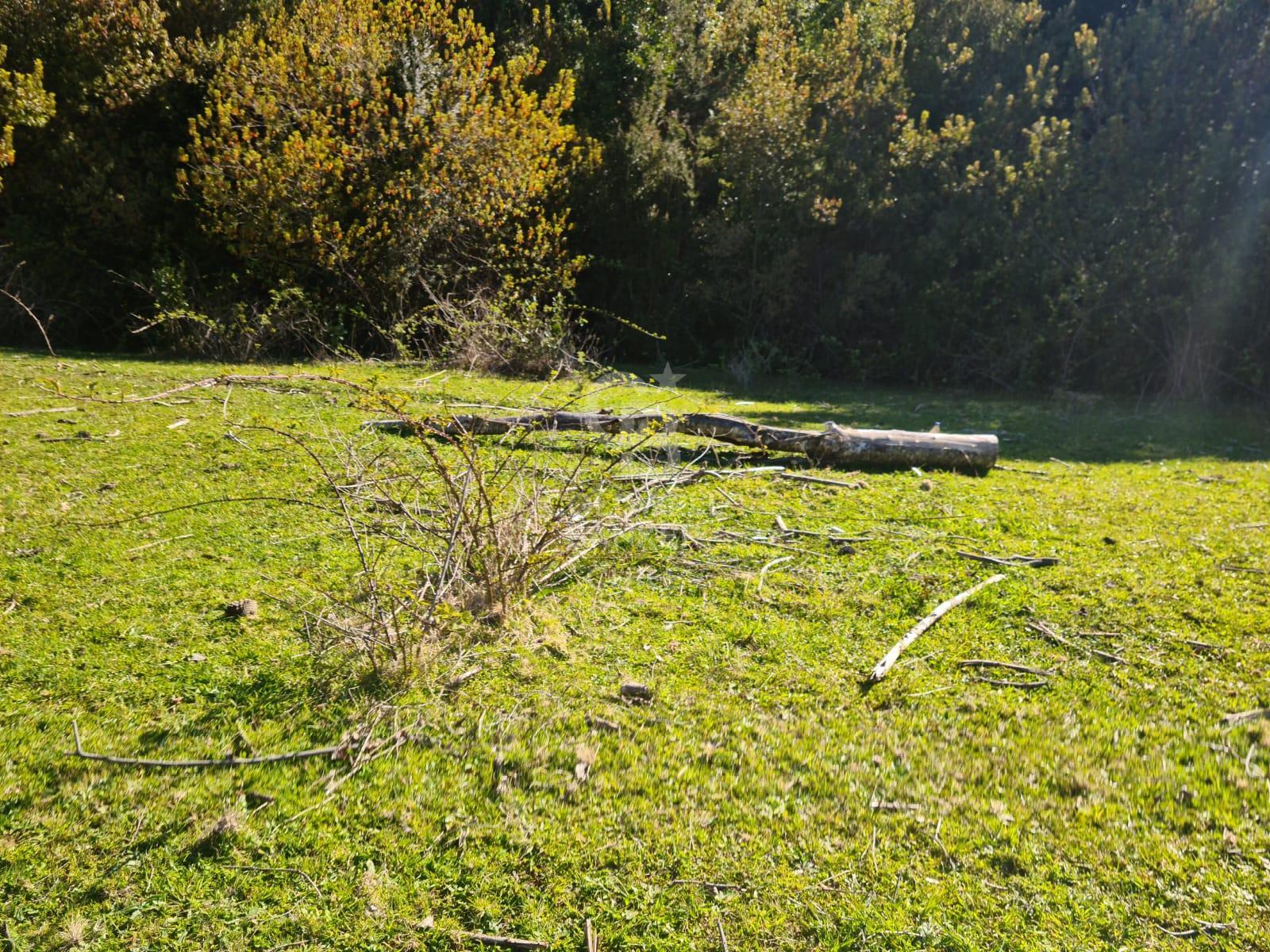 Fresia, Chile, ,Residential,For Sale,1913252