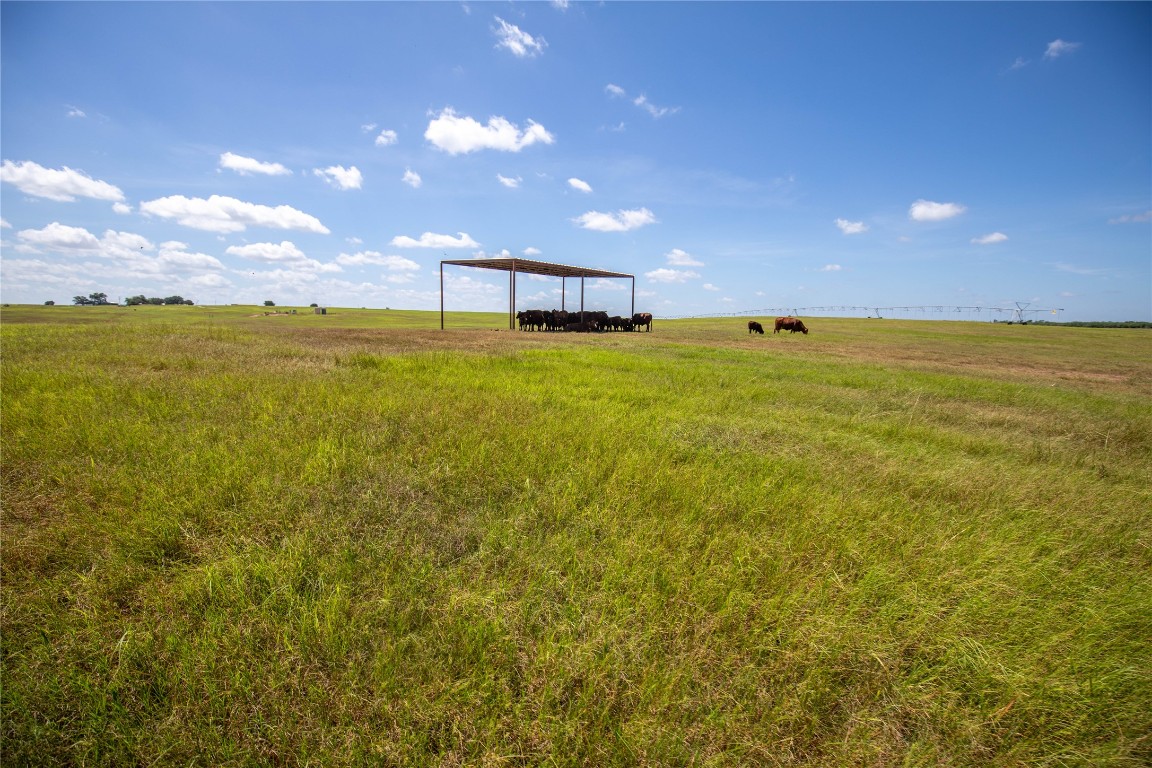 Kenedy, Texas, 78119, United States, ,Residential,For Sale,1967752