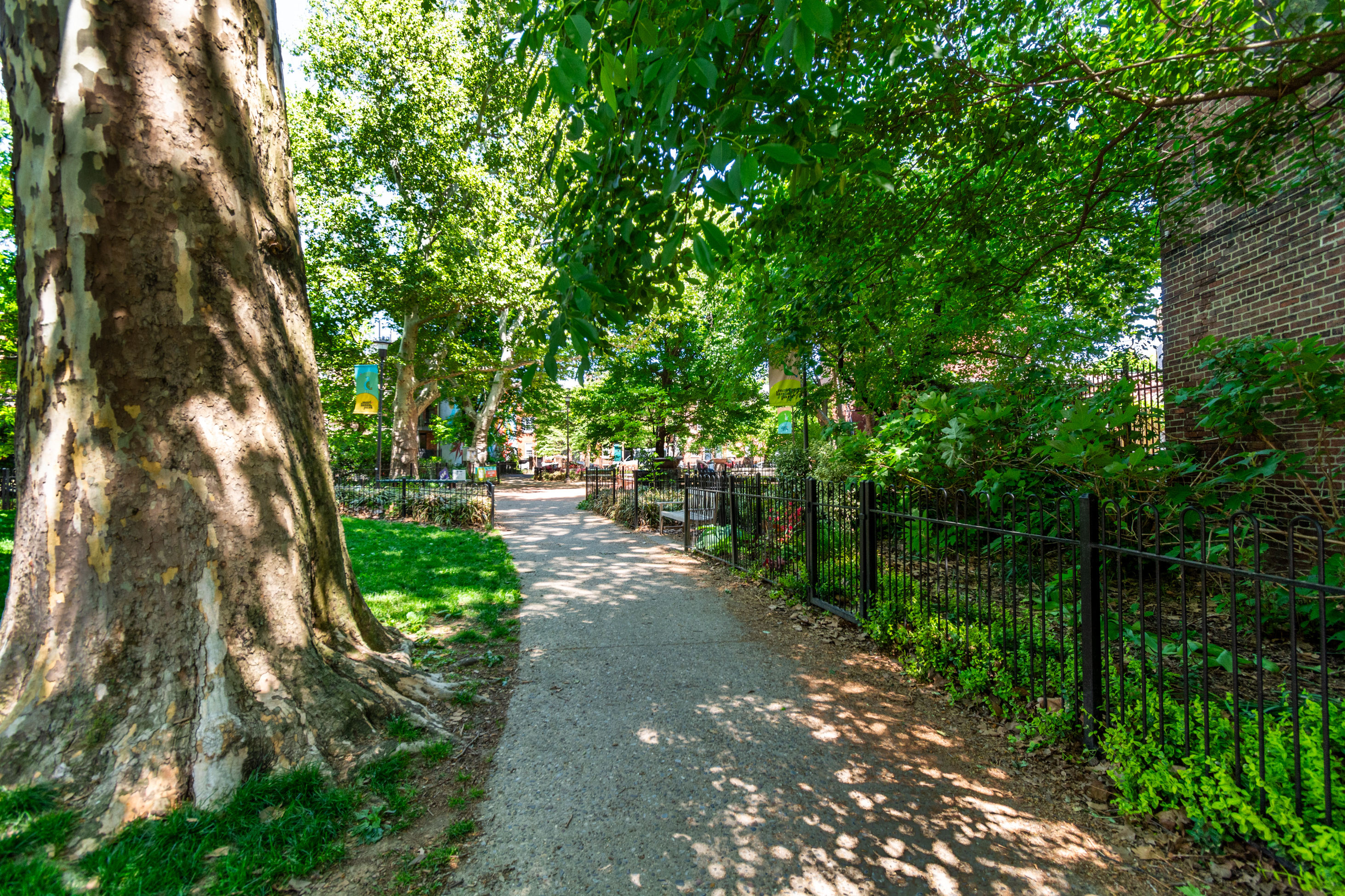  Vibrant Queen Village Gem - 物件實景