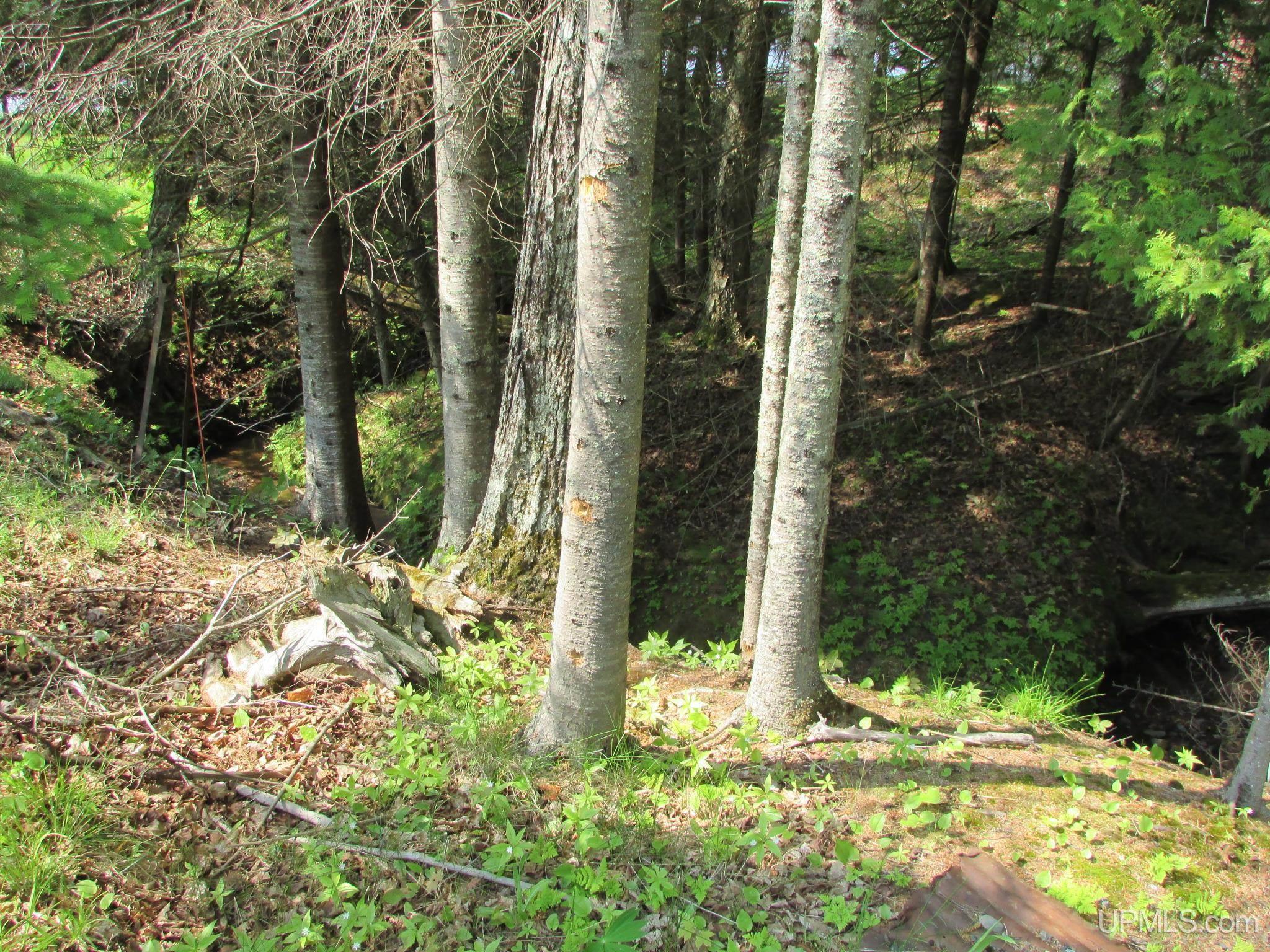 Skanee, Michigan, 49962, United States, 3 Bedrooms Bedrooms, ,2 BathroomsBathrooms,Residential,For Sale,1975456