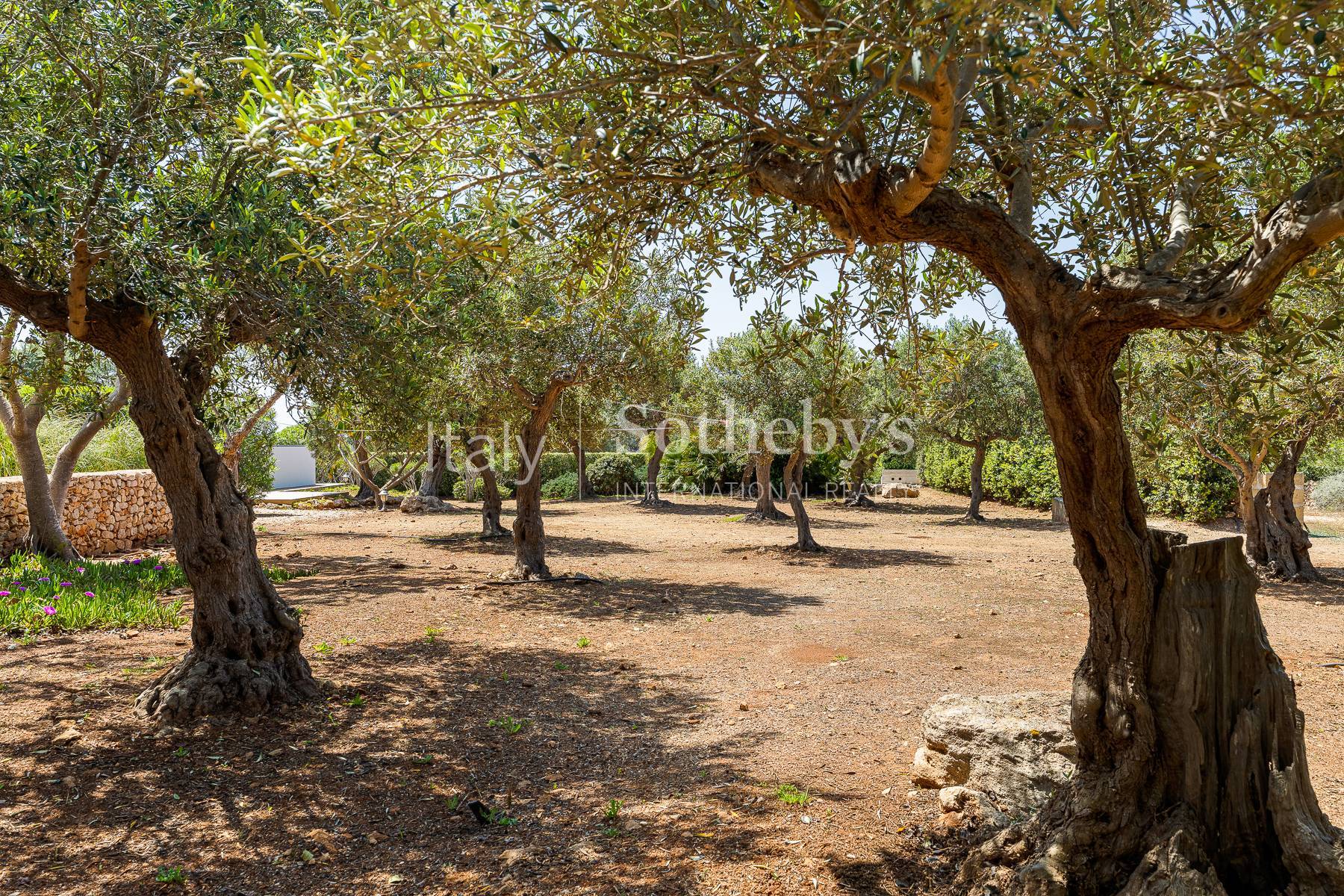  Exclusive villa in the heart of the Egadi Islands - 物件實景