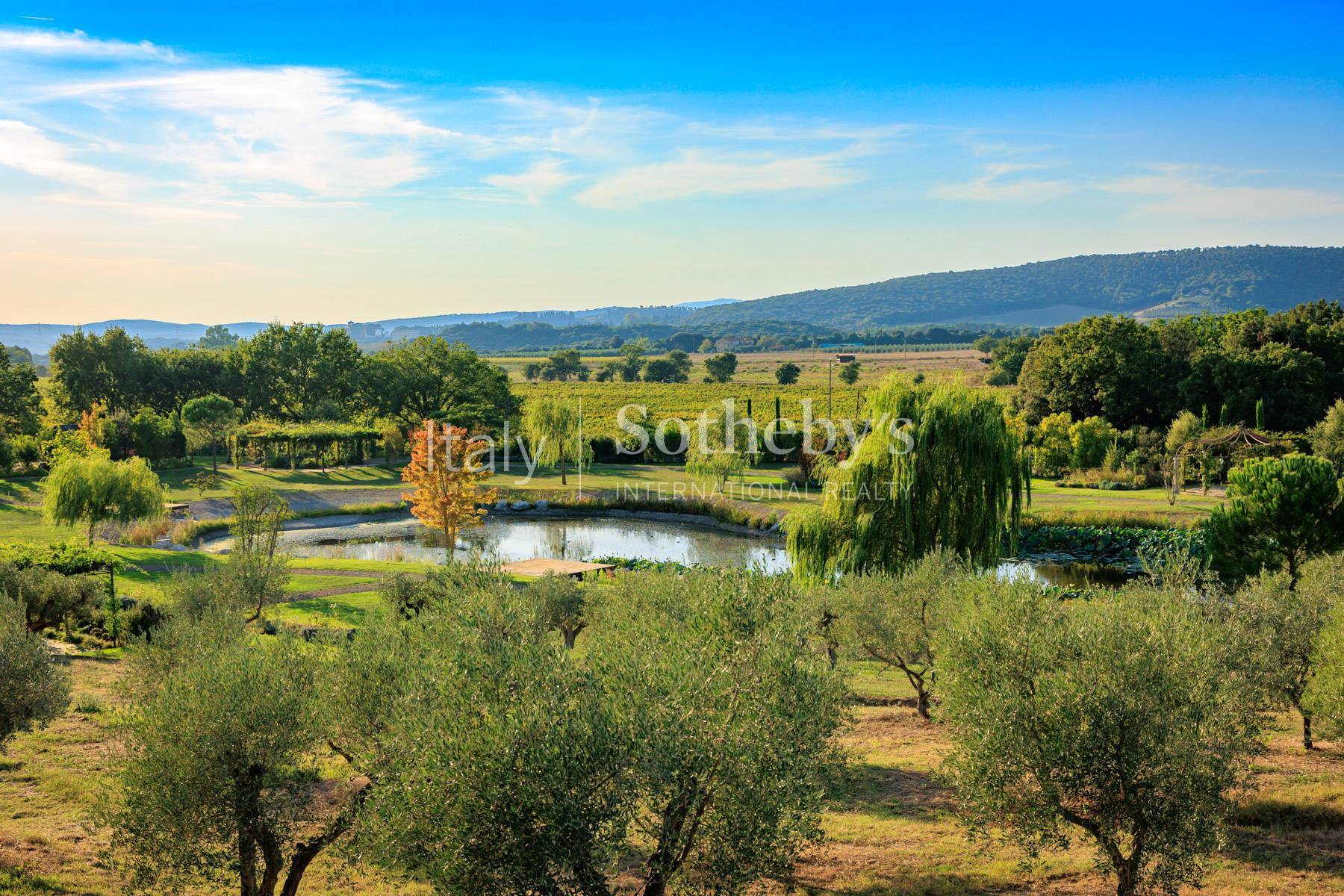  Incomparable Estate in the Tuscan countryside - 物件實景