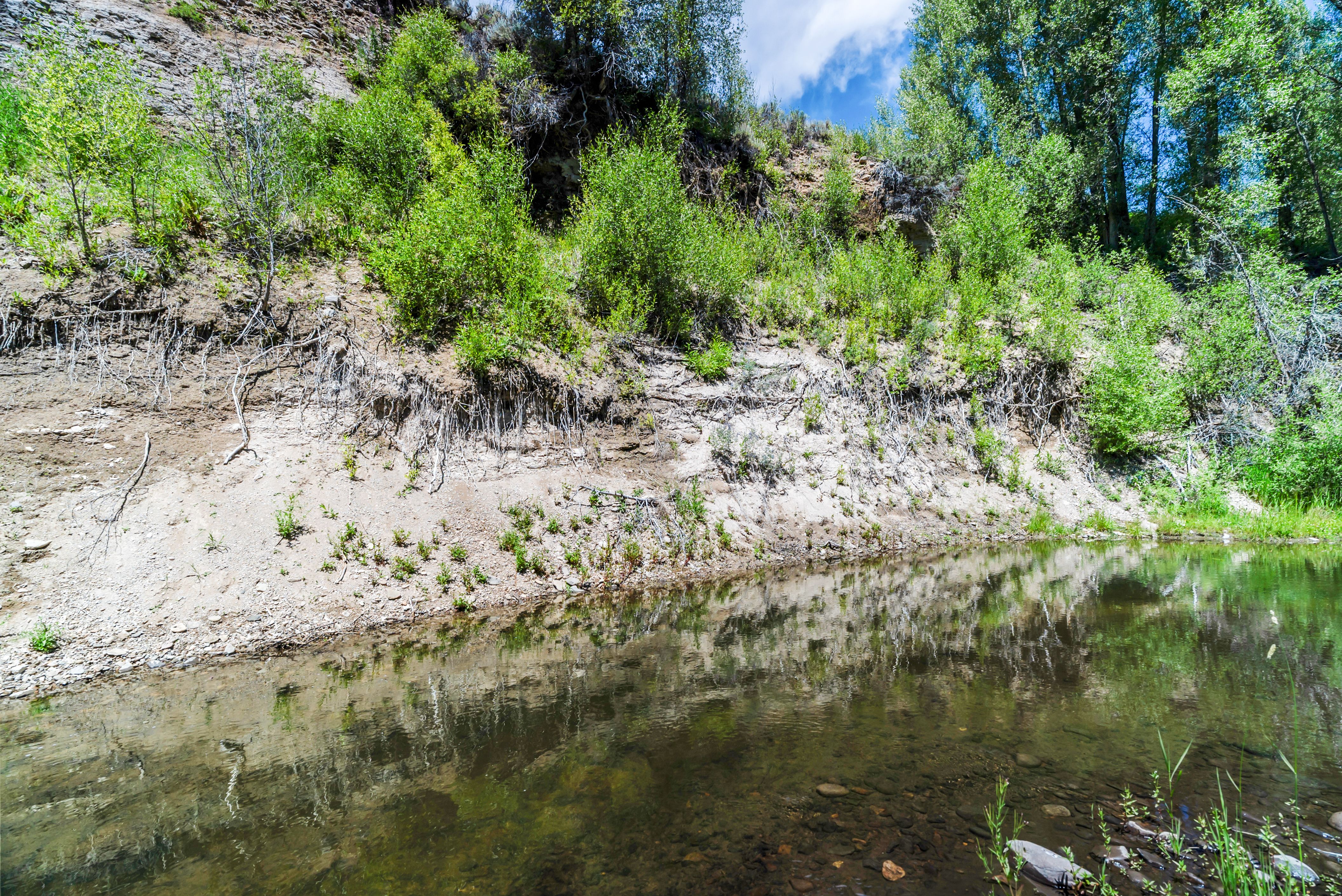  Rocking TP Ranch LLC - 物件實景