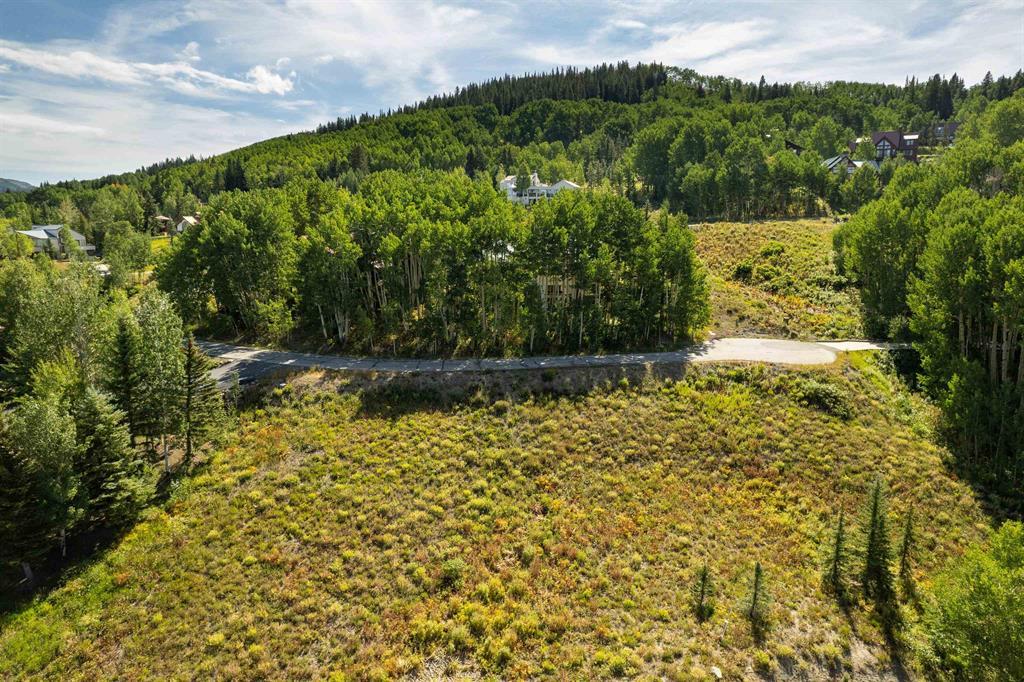 Mt. Crested Butte, Colorado, 81225, United States, ,Land,For Sale,1731584