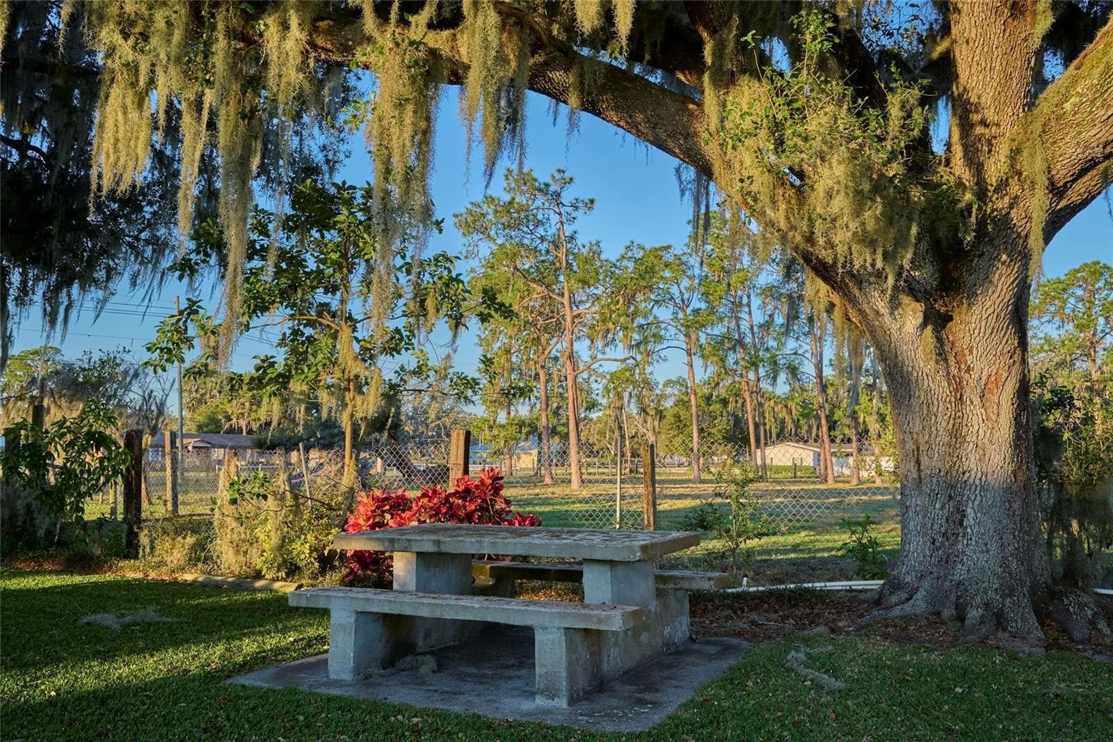 BARTOW, Florida, 33830, United States, 3 Bedrooms Bedrooms, ,2 BathroomsBathrooms,Residential,For Sale,1915491