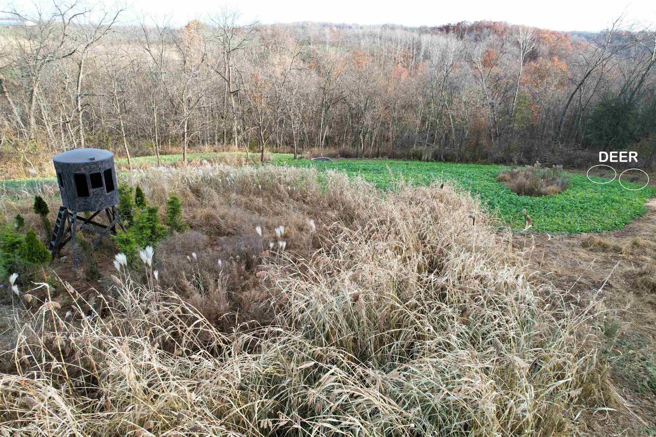 Muscoda, Wisconsin, 53573, United States, 3 Bedrooms Bedrooms, ,3 BathroomsBathrooms,Residential,For Sale,1990387