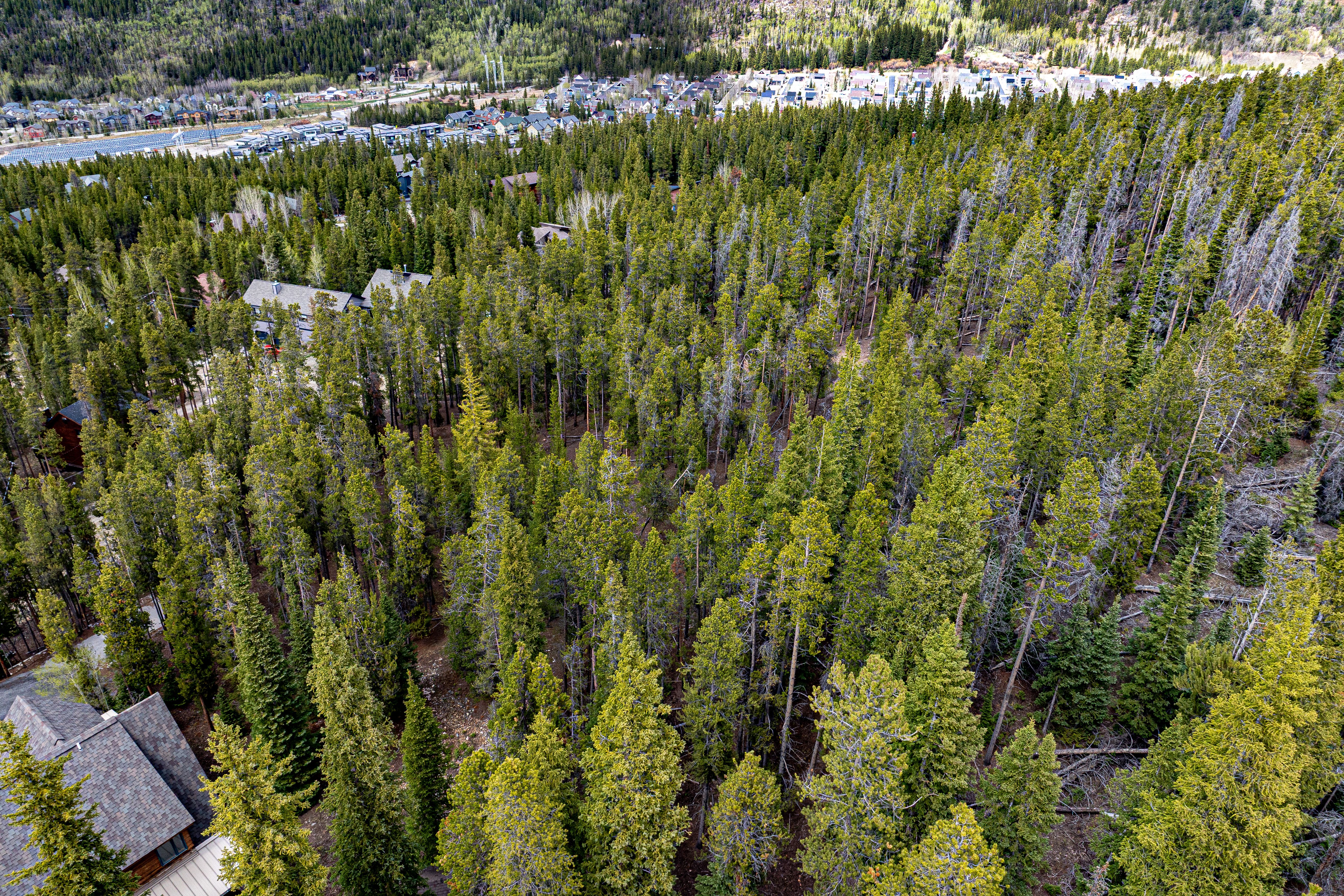  Prime Large Breckenridge Homesite in an Exceptional Location - 物件實景