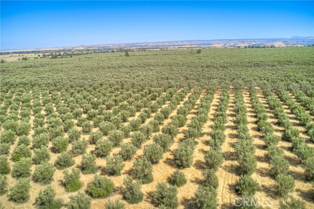 Oroville, California, 95965, United States, 2 Bedrooms Bedrooms, ,2 BathroomsBathrooms,Residential,For Sale,1979387