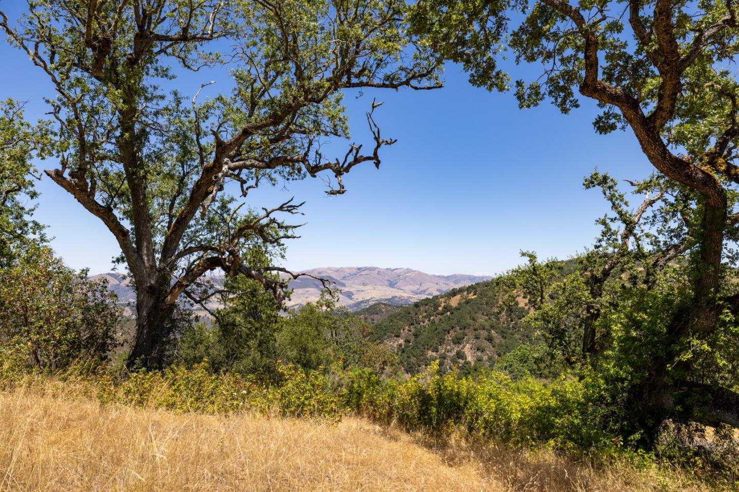 9 Long Ridge Trl, Carmel, California, 93923, United States, ,Land,For Sale,9 Long Ridge Trl,1663124