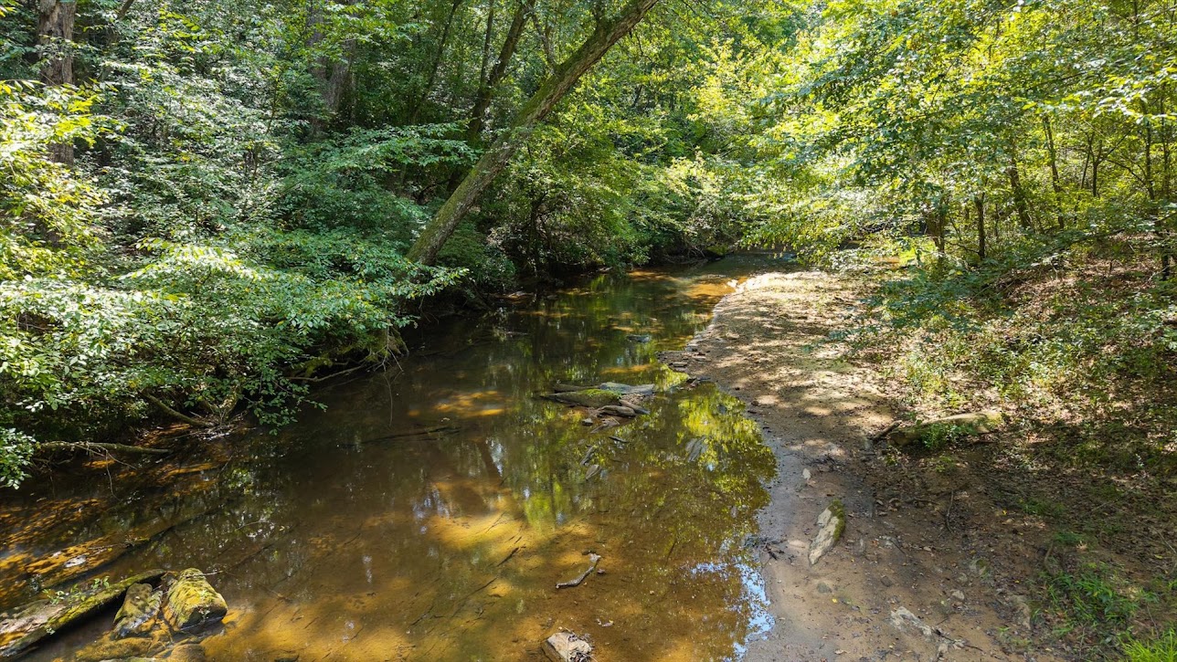 Carrollton, Georgia, 30116, United States, 4 Bedrooms Bedrooms, ,3 BathroomsBathrooms,Residential,For Sale,2005638