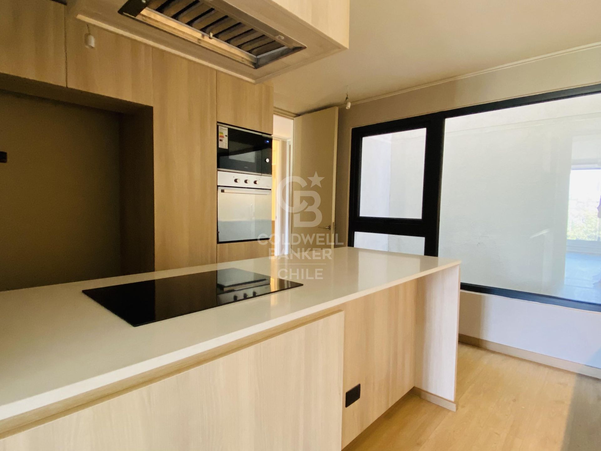 Providencia, Chile, 3 Bedrooms Bedrooms, ,3 BathroomsBathrooms,Residential,For Sale,1751350