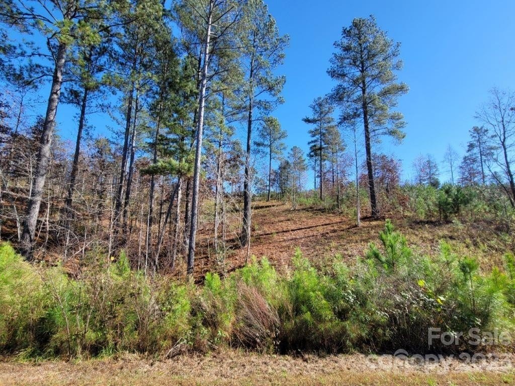 Connelly Springs, North Carolina, 28612, United States, 3 Bedrooms Bedrooms, ,2 BathroomsBathrooms,Residential,For Sale,1928707