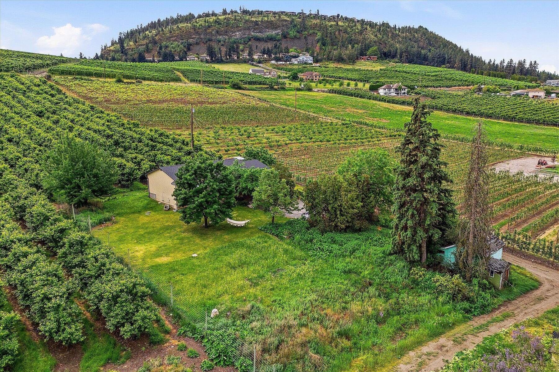  Glenmore Farm Acreage - 物件實景