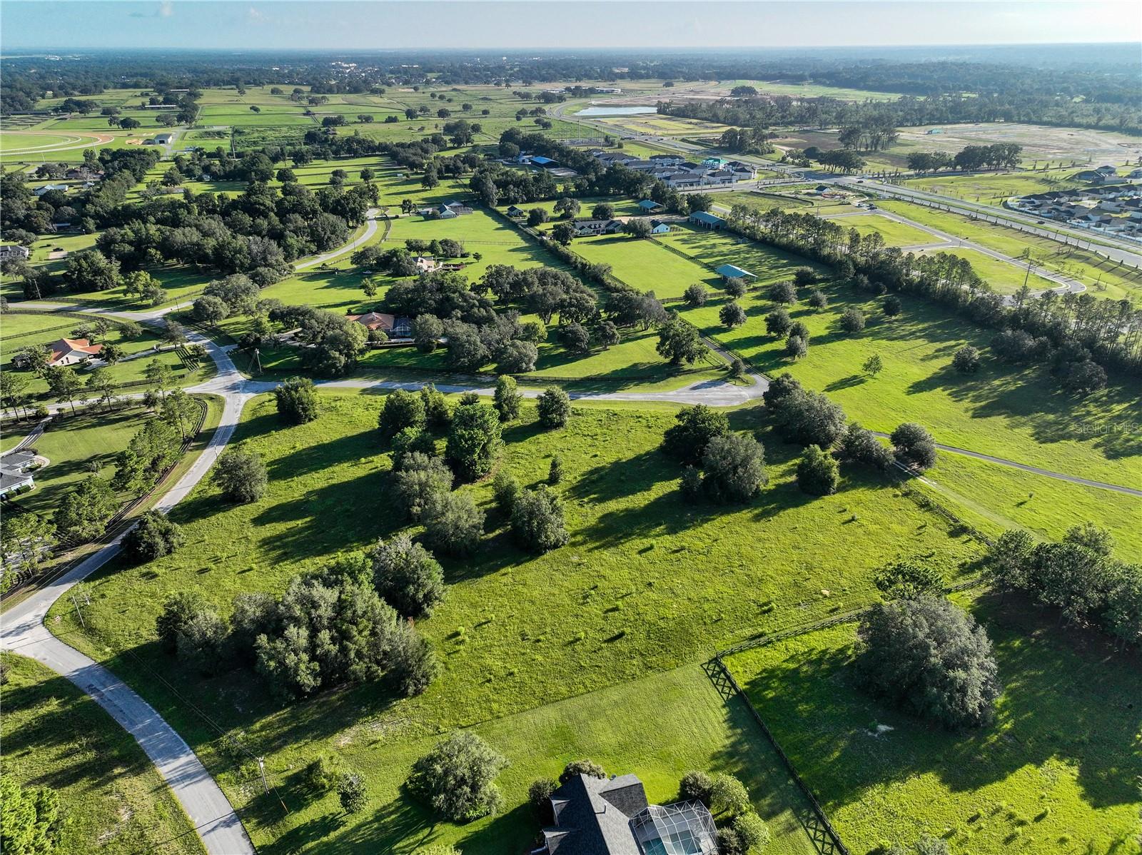 OCALA, Florida, 34476, United States, ,Land,For Sale,1907653
