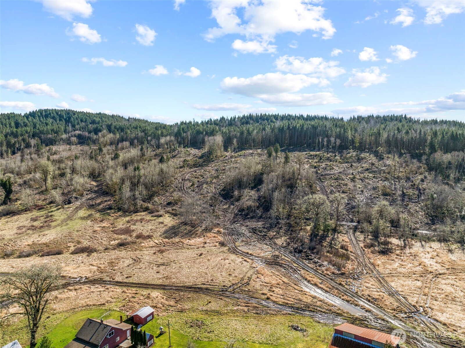 Toledo, Washington, 98591, United States, 3 Bedrooms Bedrooms, ,2 BathroomsBathrooms,Residential,For Sale,1754080