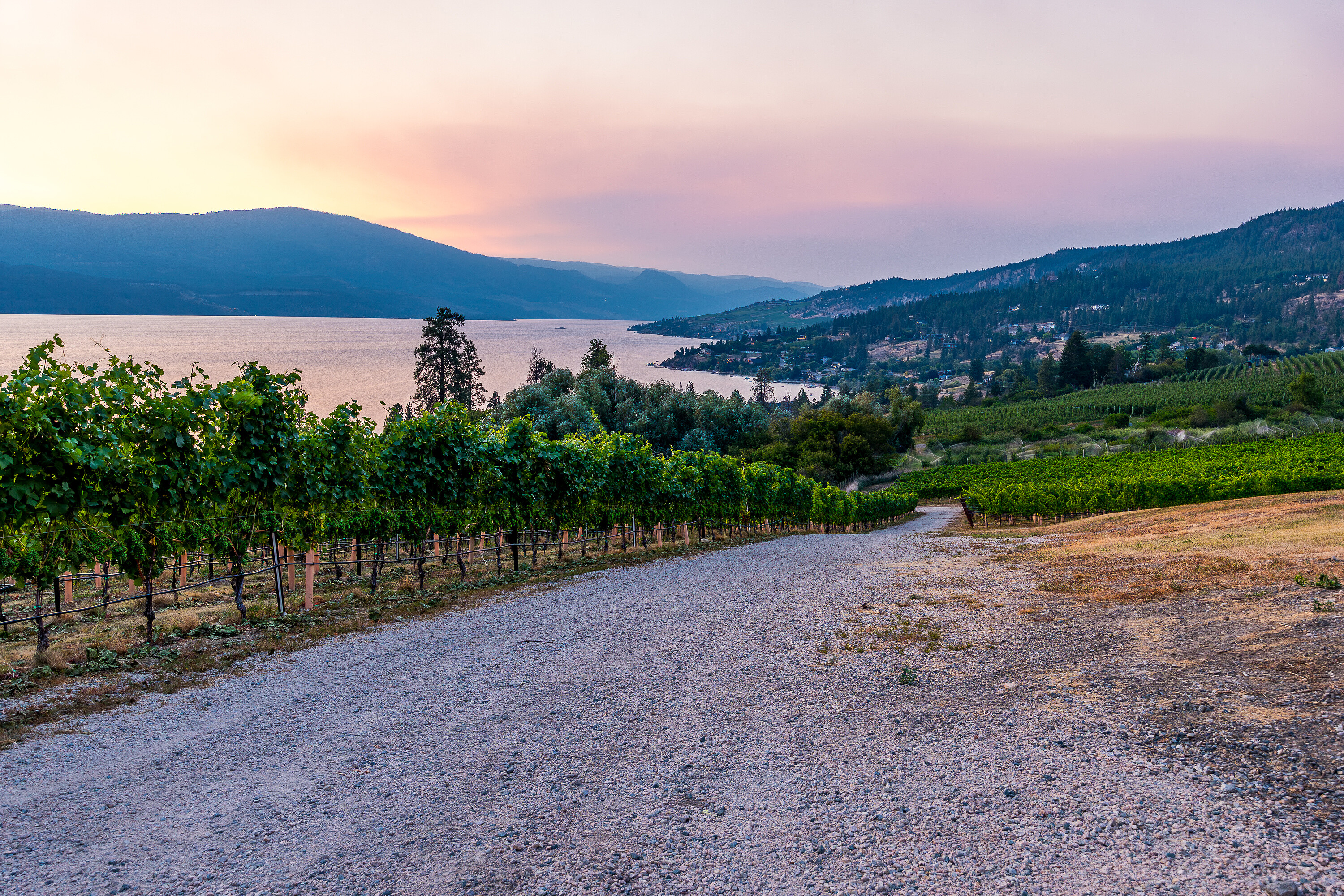  Scenic Vineyard Home - 物件實景