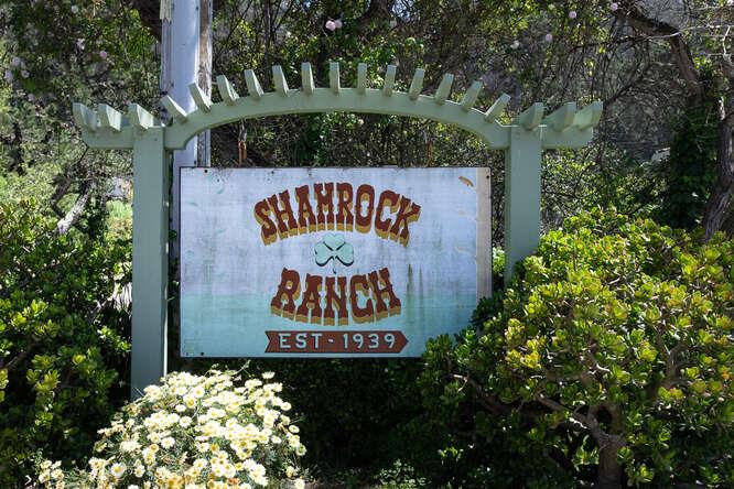 100 Shamrock Ranch Rd, Pacifica, California, 94044, United States, ,Land,For Sale,100 Shamrock Ranch Rd,1625967