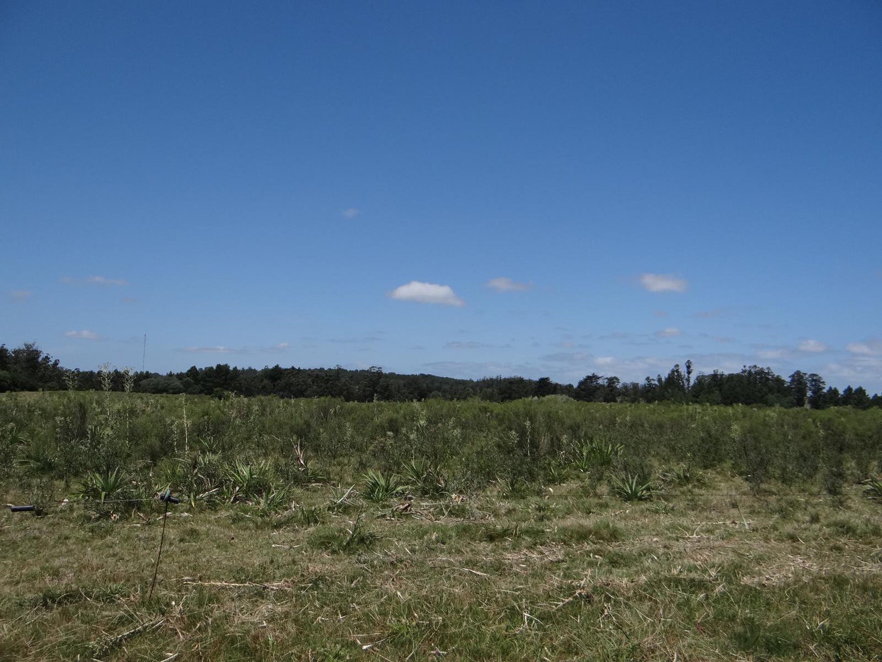  11-hectare farm in Lapataia. - 物件實景