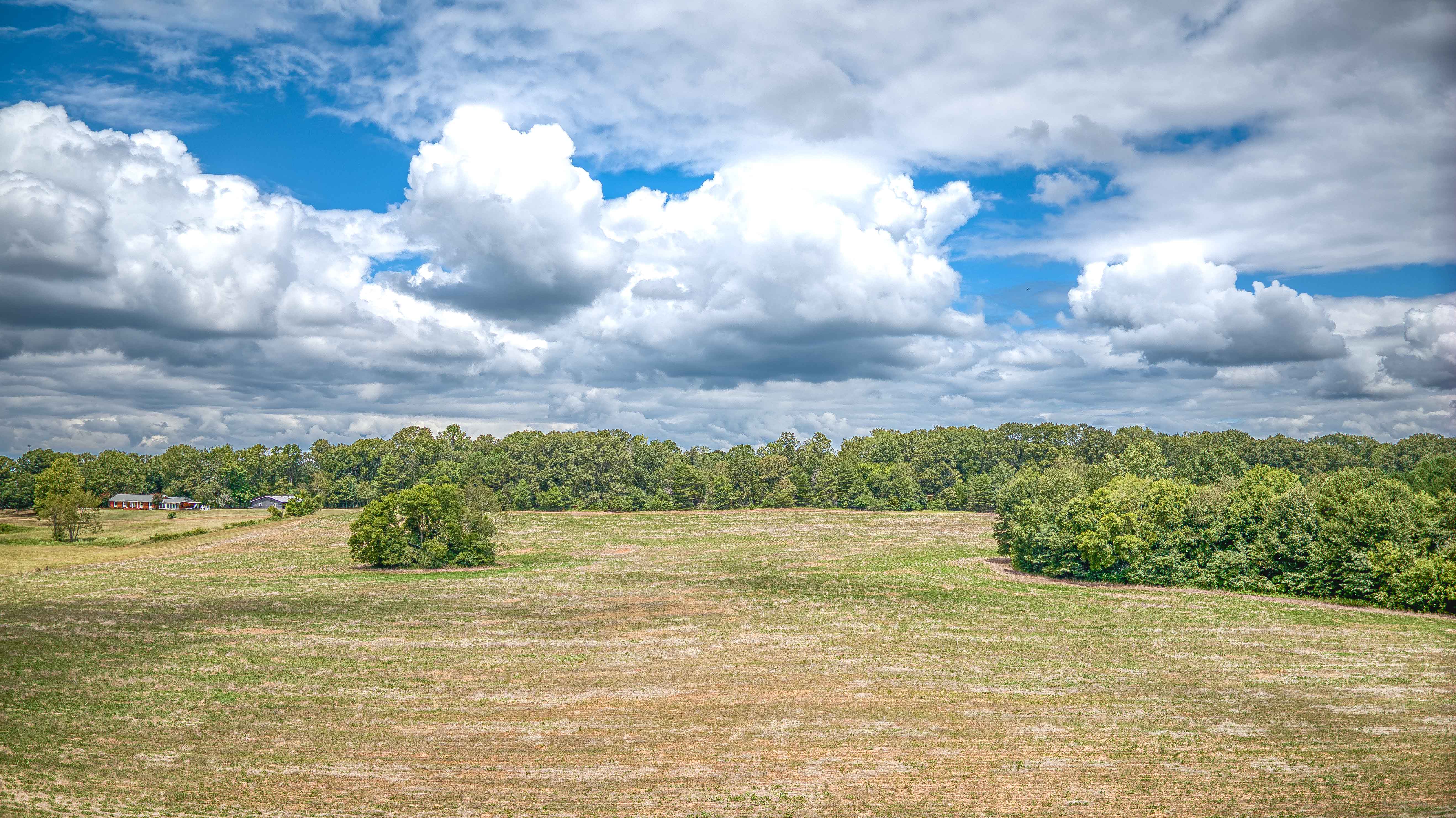 Tuscumbia, Alabama, 35674, United States, ,Land,For Sale,1976669