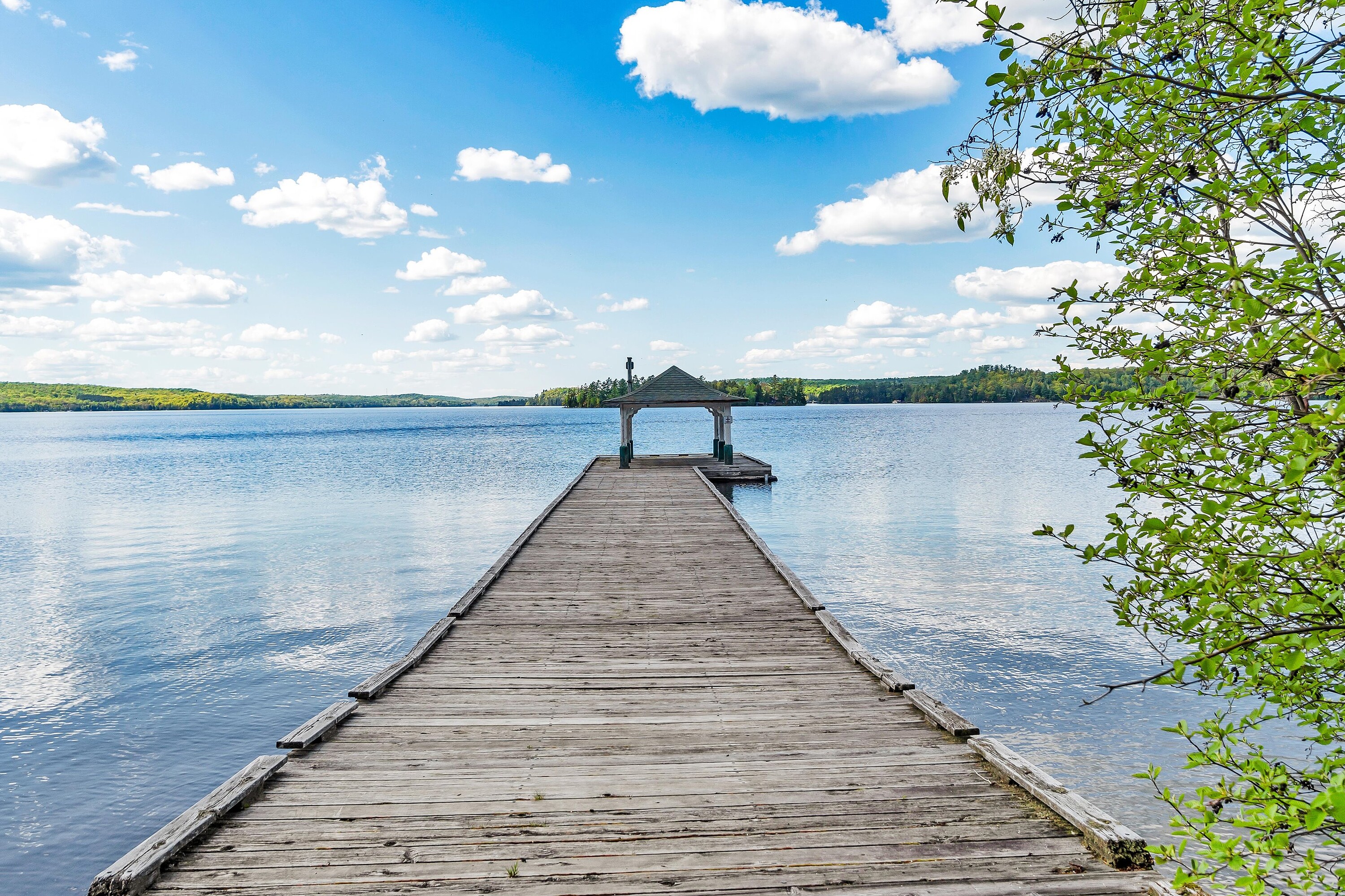  Coveted Area of Lake of Bays - 物件實景