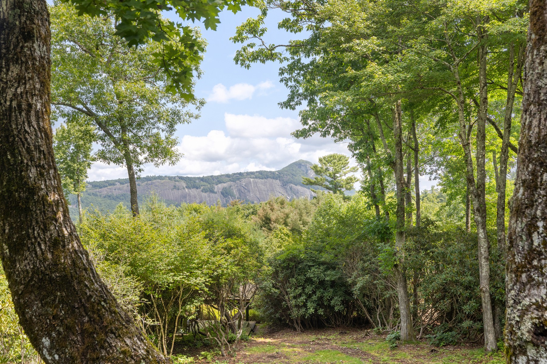  179 Sagee Woods Drive - 物件實景