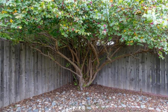 Chico, California, 95973, United States, 3 Bedrooms Bedrooms, ,2 BathroomsBathrooms,Residential,For Sale,2005444