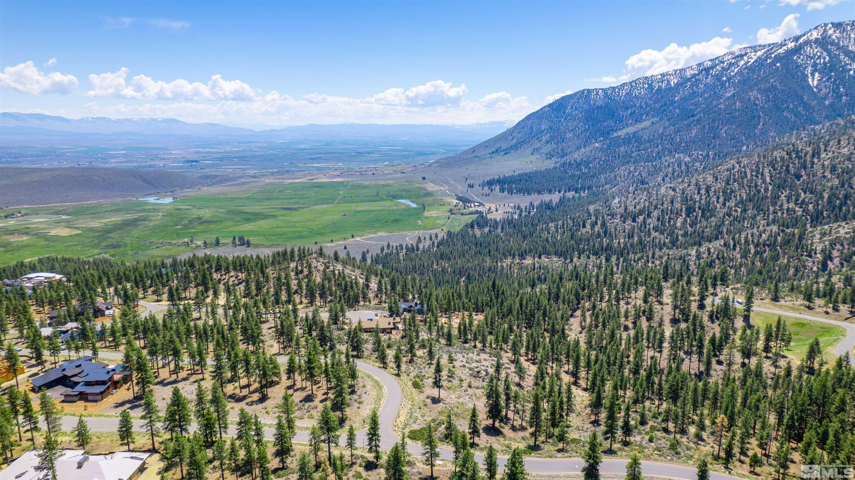 Carson City, Nevada, 89705, United States, ,Land,For Sale,1828130