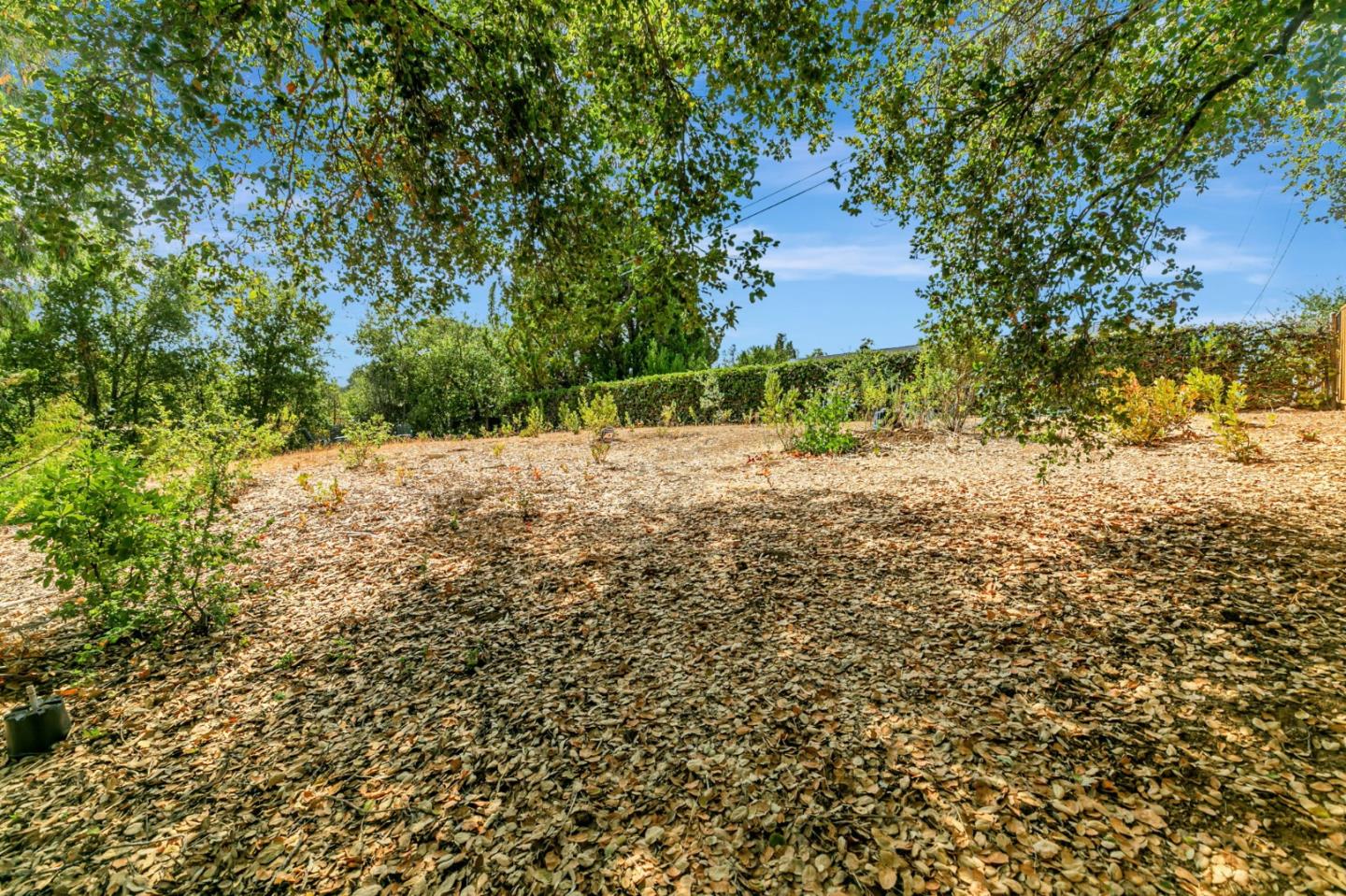 Los Altos, California, 94024, United States, 3 Bedrooms Bedrooms, ,2 BathroomsBathrooms,Residential,For Sale,1941644