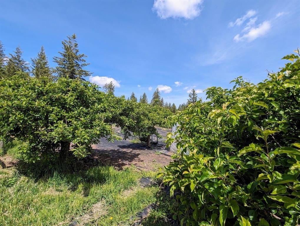 Deer Park, Washington, 99006, United States, 4 Bedrooms Bedrooms, ,3 BathroomsBathrooms,Residential,For Sale,1992007