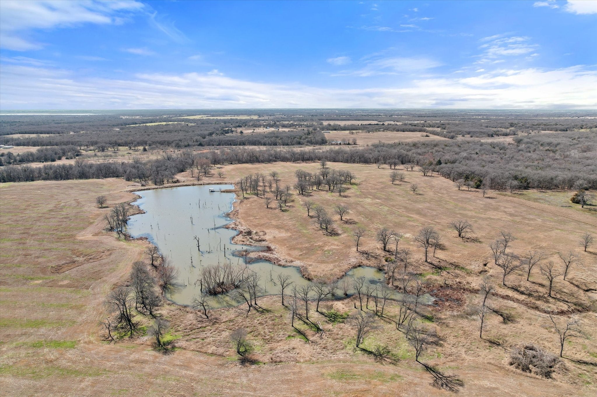 Frost, Texas, 76641, United States, ,Land,For Sale,1978385