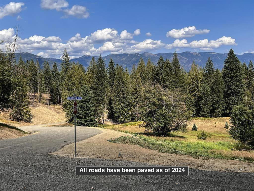 Sagle, Idaho, 83860, United States, ,Land,For Sale,1983081
