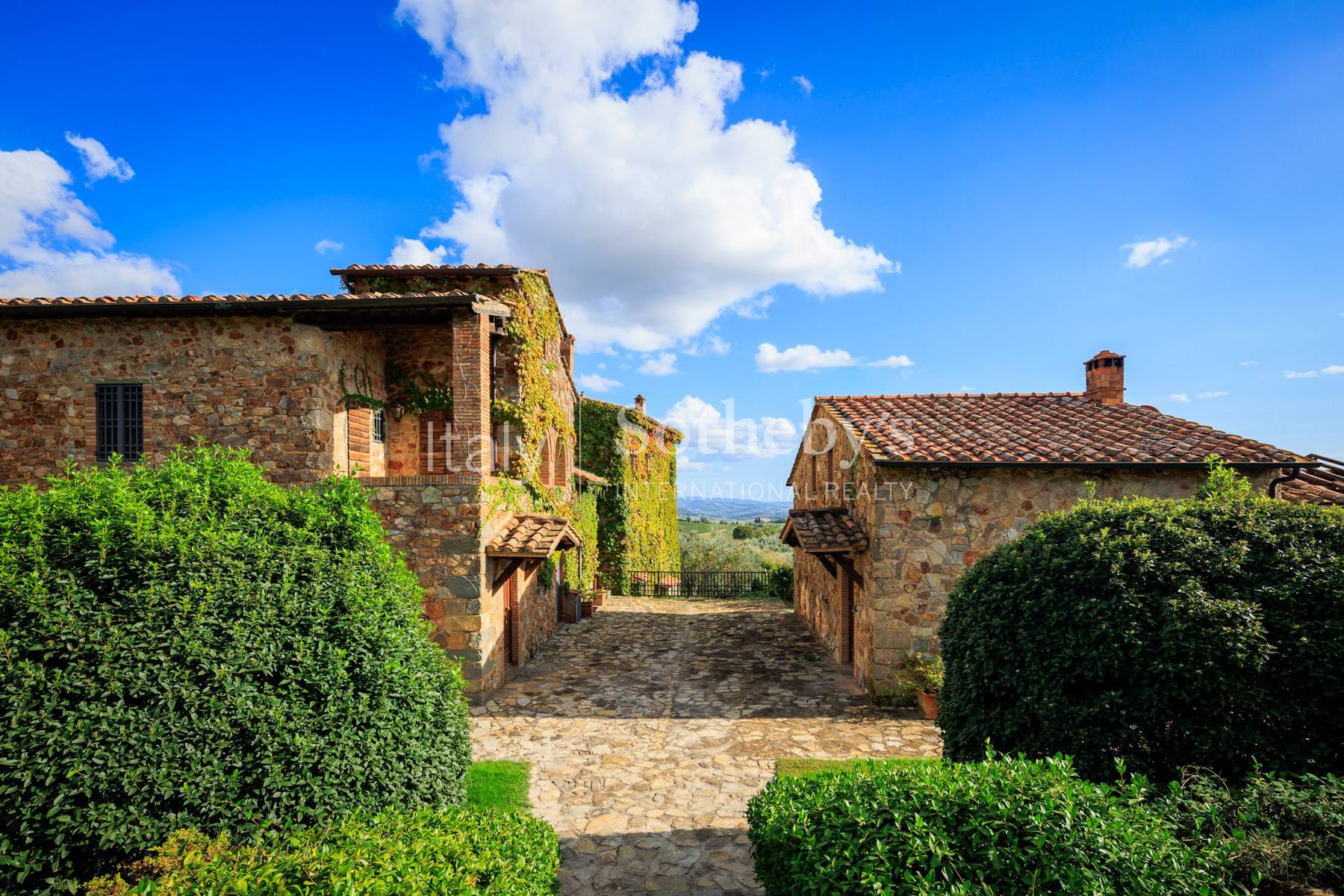  Historic farmhouse with olive grove and vineyard - 物件實景