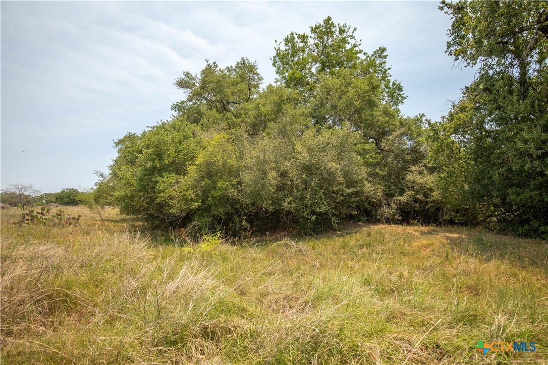 Cuero, Texas, 77954, United States, ,Residential,For Sale,1950887