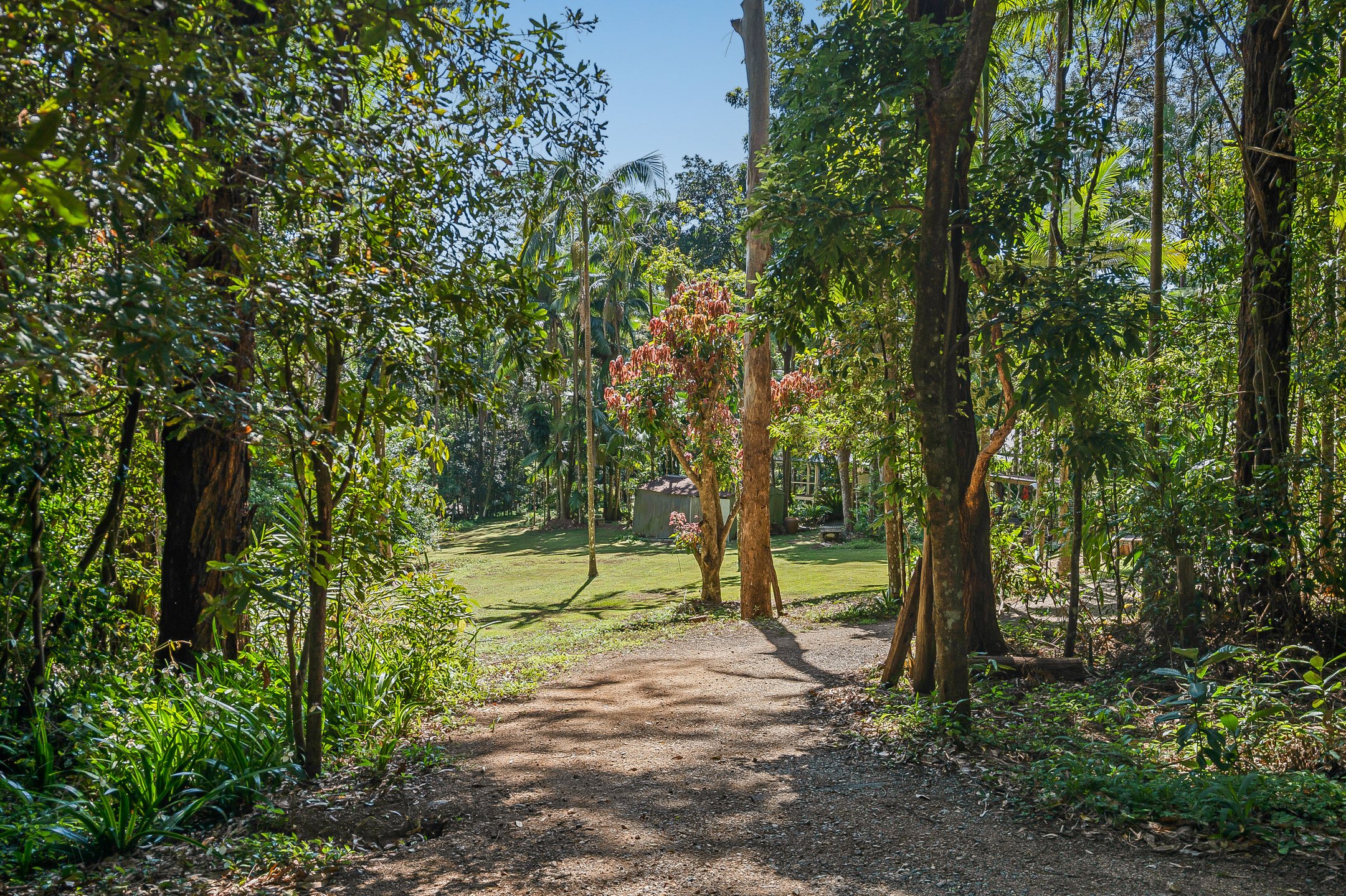  66 Newes Road, Coorabell - 物件實景