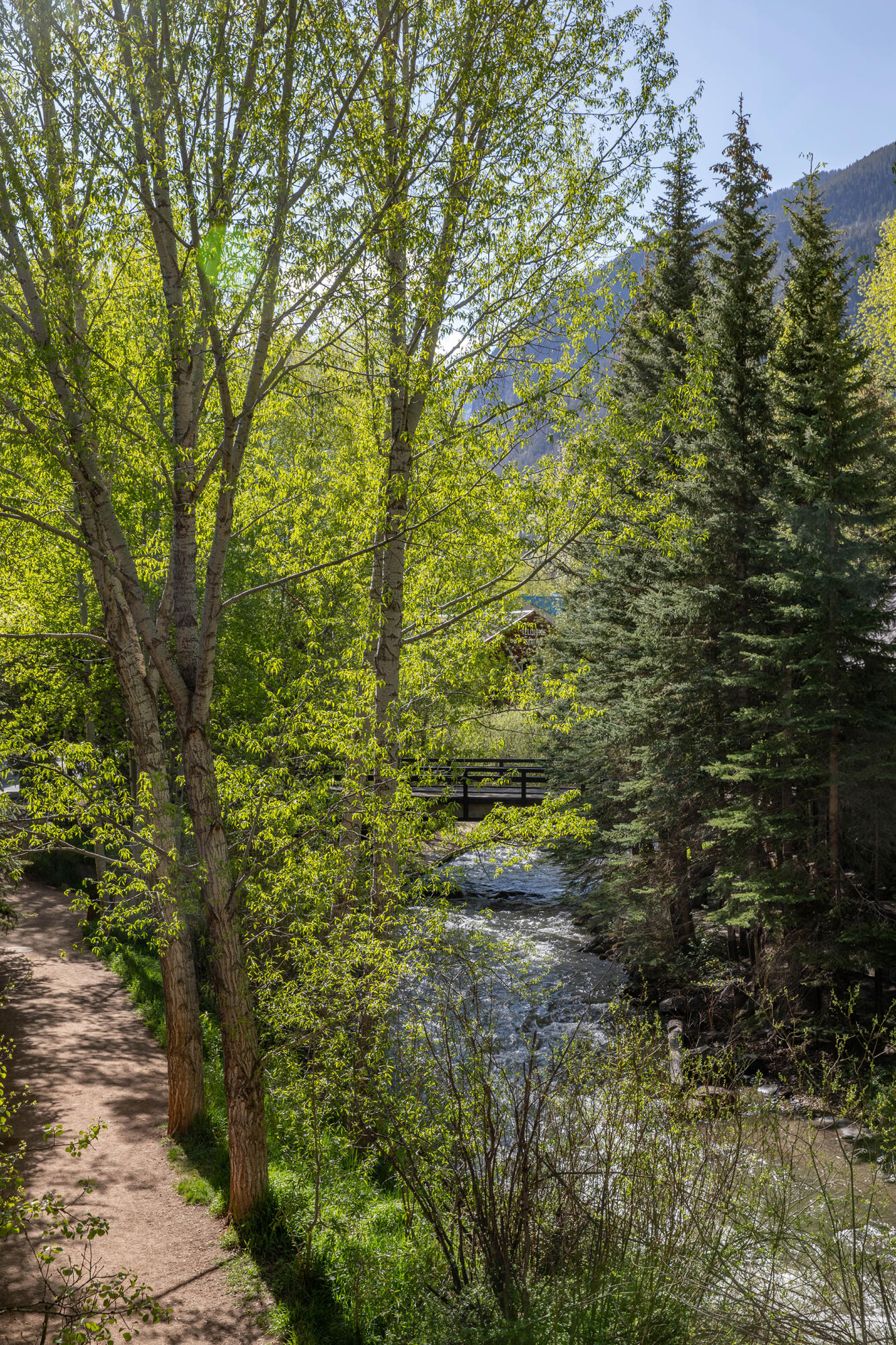 Telluride, Colorado, 81435, United States, 5 Bedrooms Bedrooms, ,5 BathroomsBathrooms,Residential,For Sale,1760504