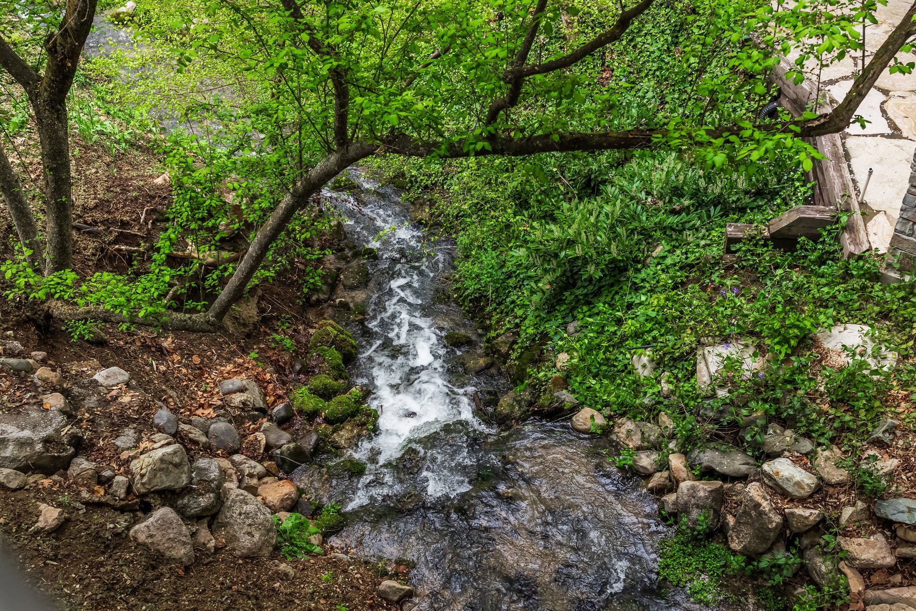 The Bend at Holladay, A Private Creekside Sanctuary - 物件實景