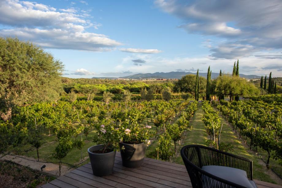 Los Senderos, San Miguel de Allende, Guanajuato, 37759, Mexico, 3 Bedrooms Bedrooms, ,4 BathroomsBathrooms,Residential,For Sale,Los Senderos,1612359