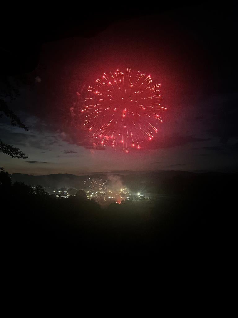 Ellijay, Georgia, 30540, United States, 5 Bedrooms Bedrooms, ,5 BathroomsBathrooms,Residential,For Sale,1952565