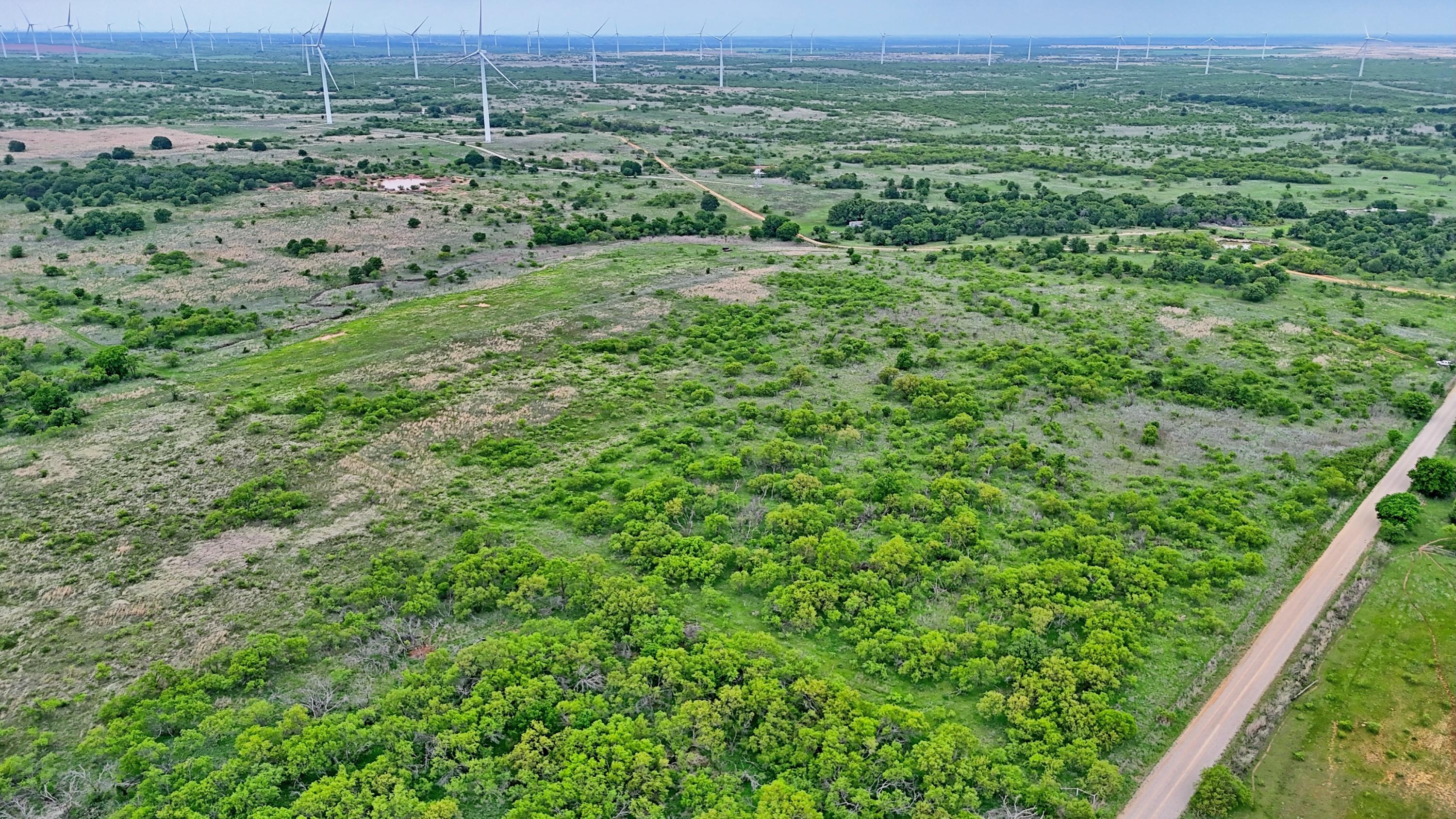  95 Acres in Clay County - 物件實景