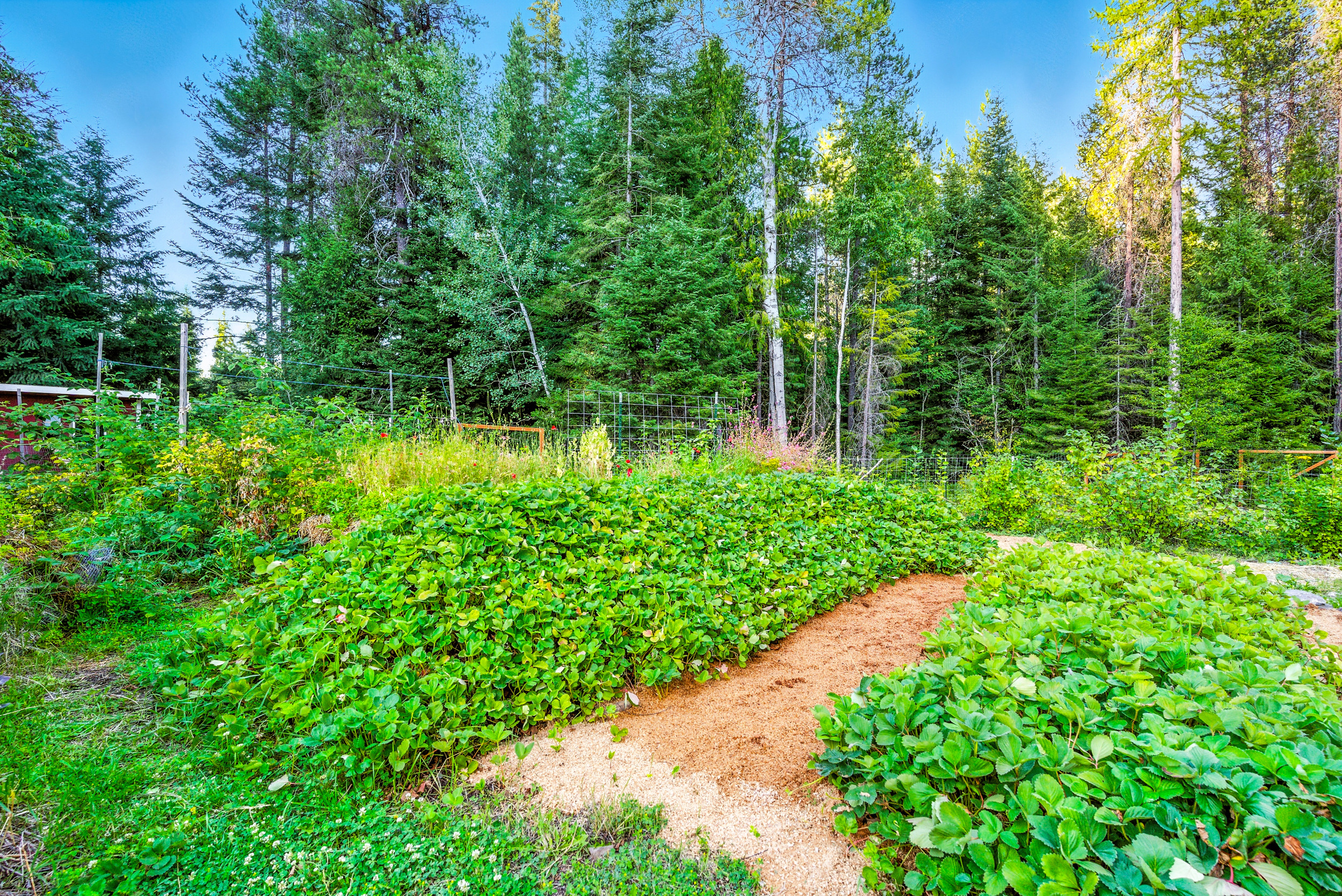 Sandpoint, Idaho, 83864, United States, 2 Bedrooms Bedrooms, ,2 BathroomsBathrooms,Residential,For Sale,2006058