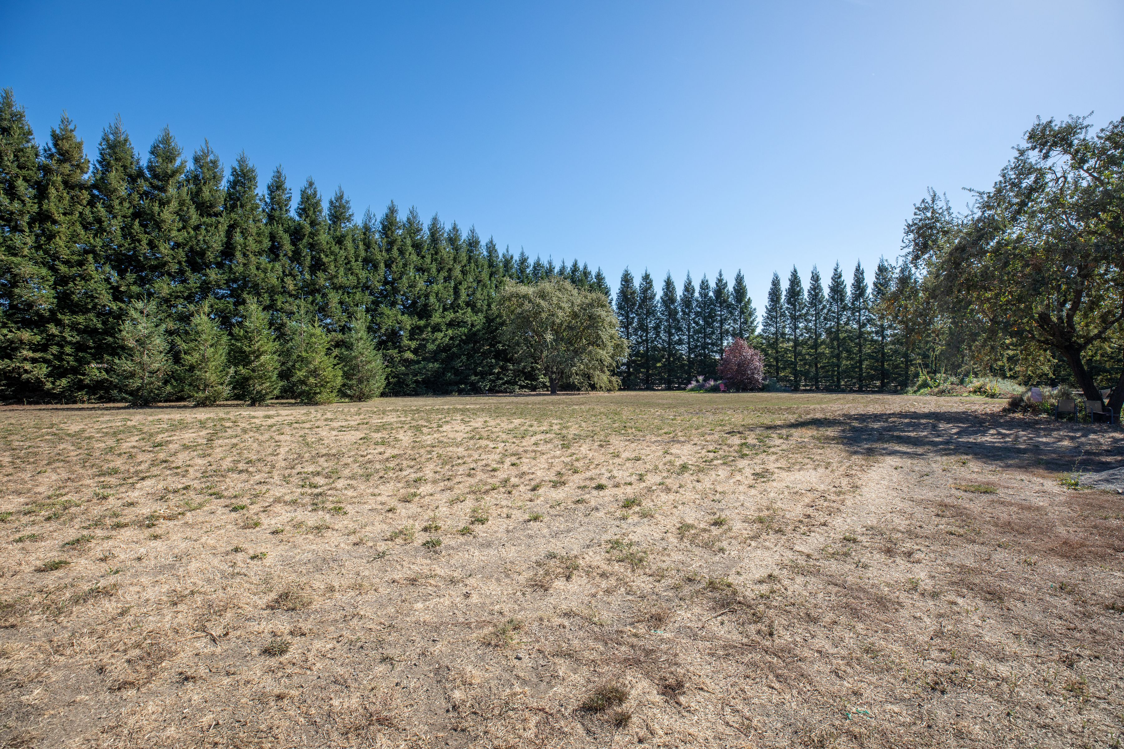  3290 Somers Street, Santa Rosa - 物件實景